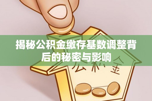松滋揭秘公积金缴存基数调整背后的秘密与影响