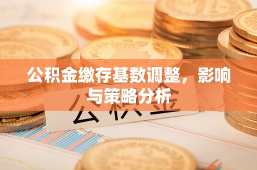 松滋公积金缴存基数调整，影响与策略分析
