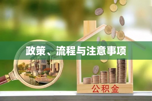 松滋政策、流程与注意事项