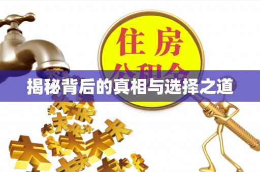 松滋揭秘背后的真相与选择之道