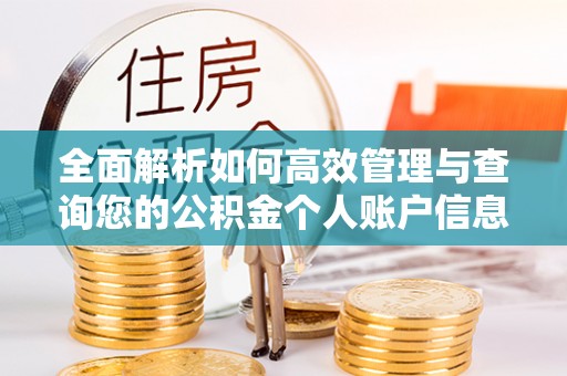 松滋全面解析如何高效管理与查询您的公积金个人账户信息