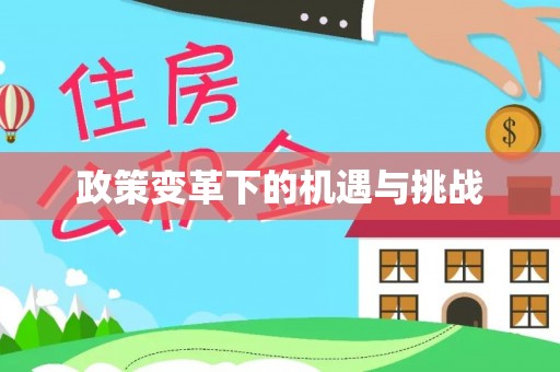 松滋政策变革下的机遇与挑战