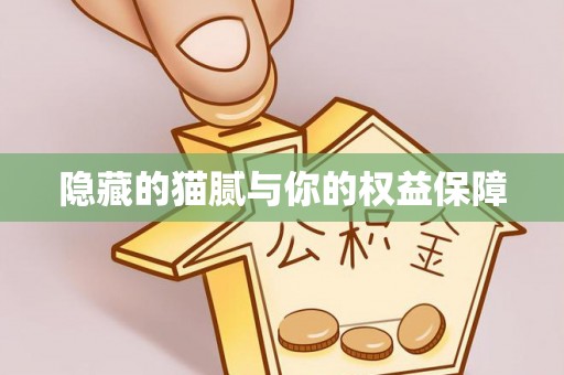 松滋隐藏的猫腻与你的权益保障