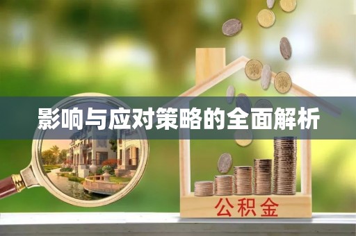 松滋影响与应对策略的全面解析
