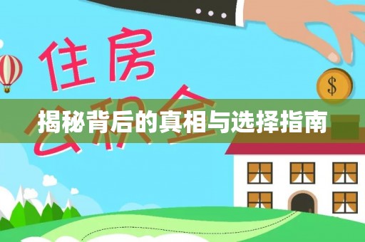 松滋揭秘背后的真相与选择指南