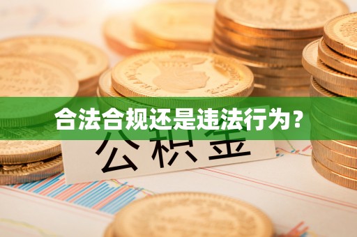 松滋合法合规还是违法行为？