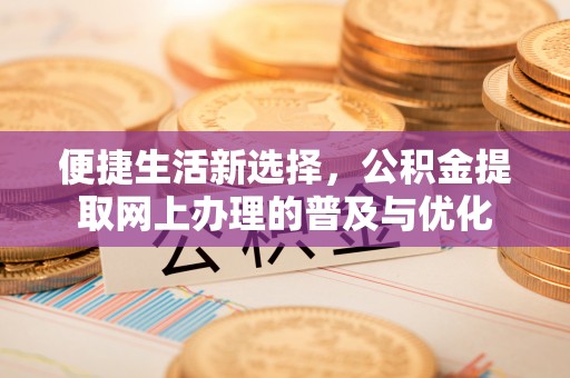 松滋便捷生活新选择，公积金提取网上办理的普及与优化