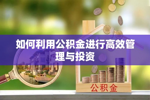 松滋如何利用公积金进行高效管理与投资