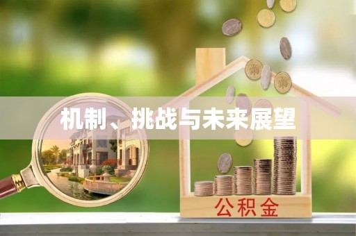 松滋机制、挑战与未来展望