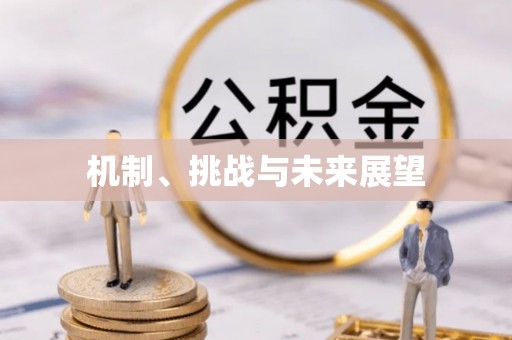 松滋机制、挑战与未来展望